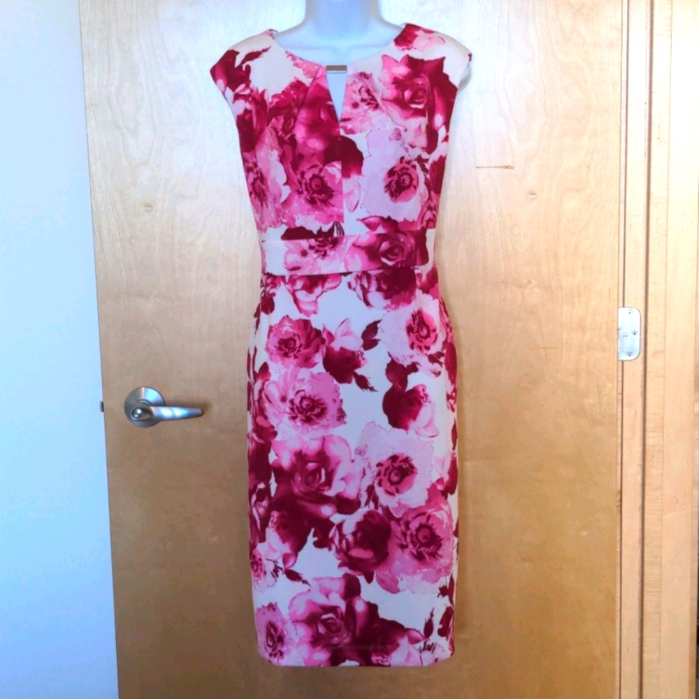 Ivory White Raspberry Pink Floral Hourglass Dress